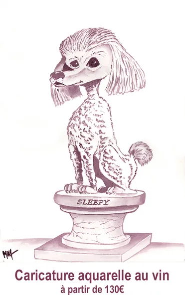 Caricature & portraits à partir de photos