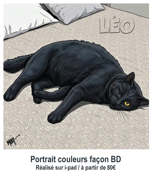 Caricature & portraits à partir de photos