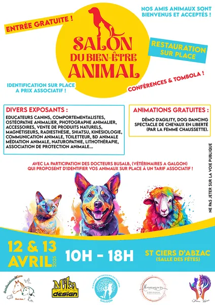 Flyers Cartes anniv, cartes visites